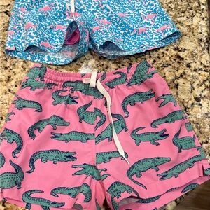 Chubbies Pink and Green Alligator Kids Swim Trunks